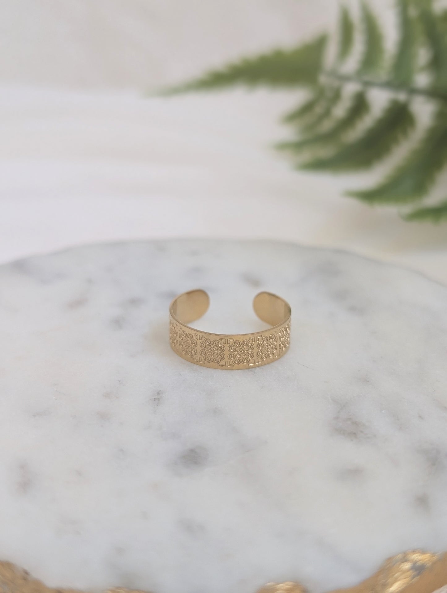 Hmong Ring